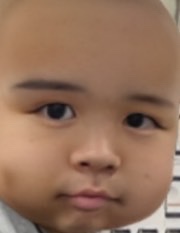 ̹