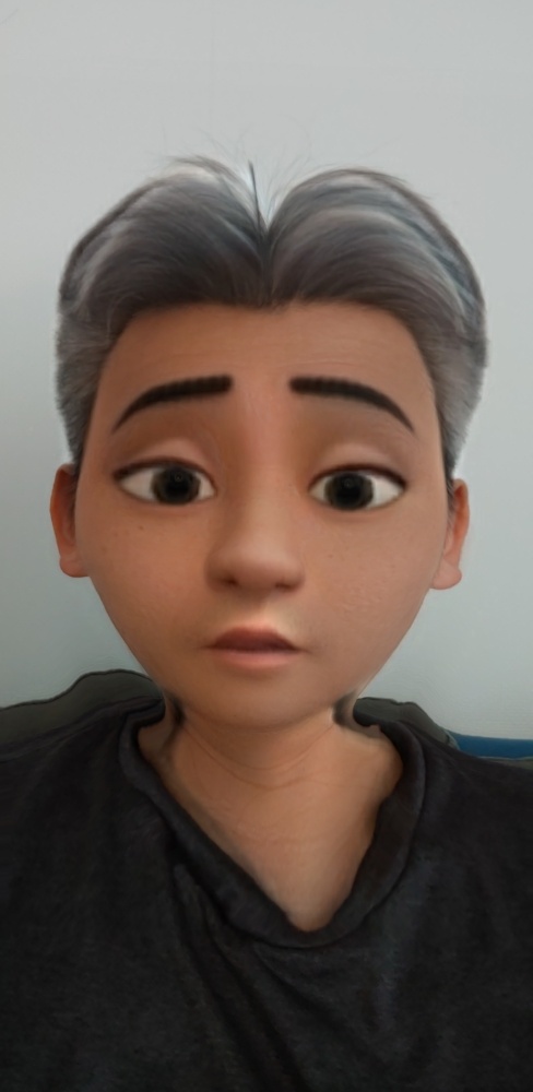 ̹