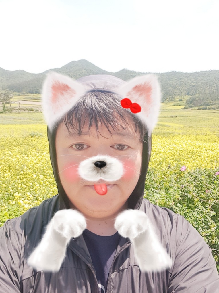 ̹