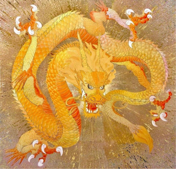 ̹