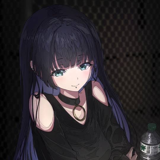 ̹