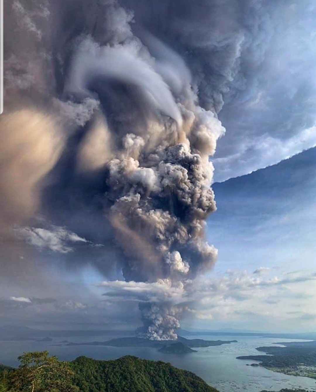 ̹