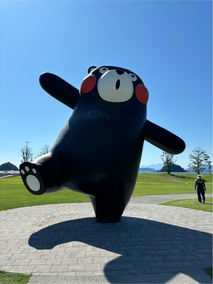 ̹