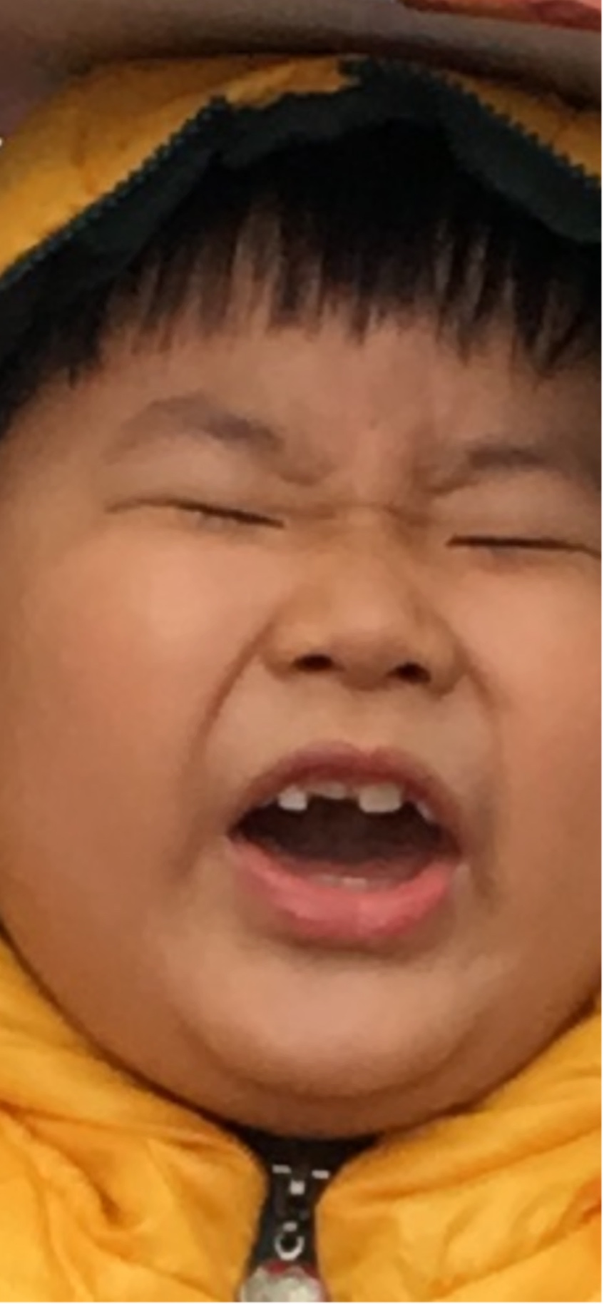 ̹