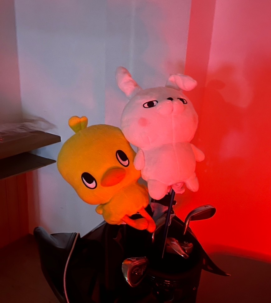̹