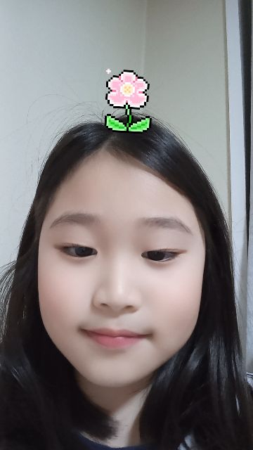 ̹