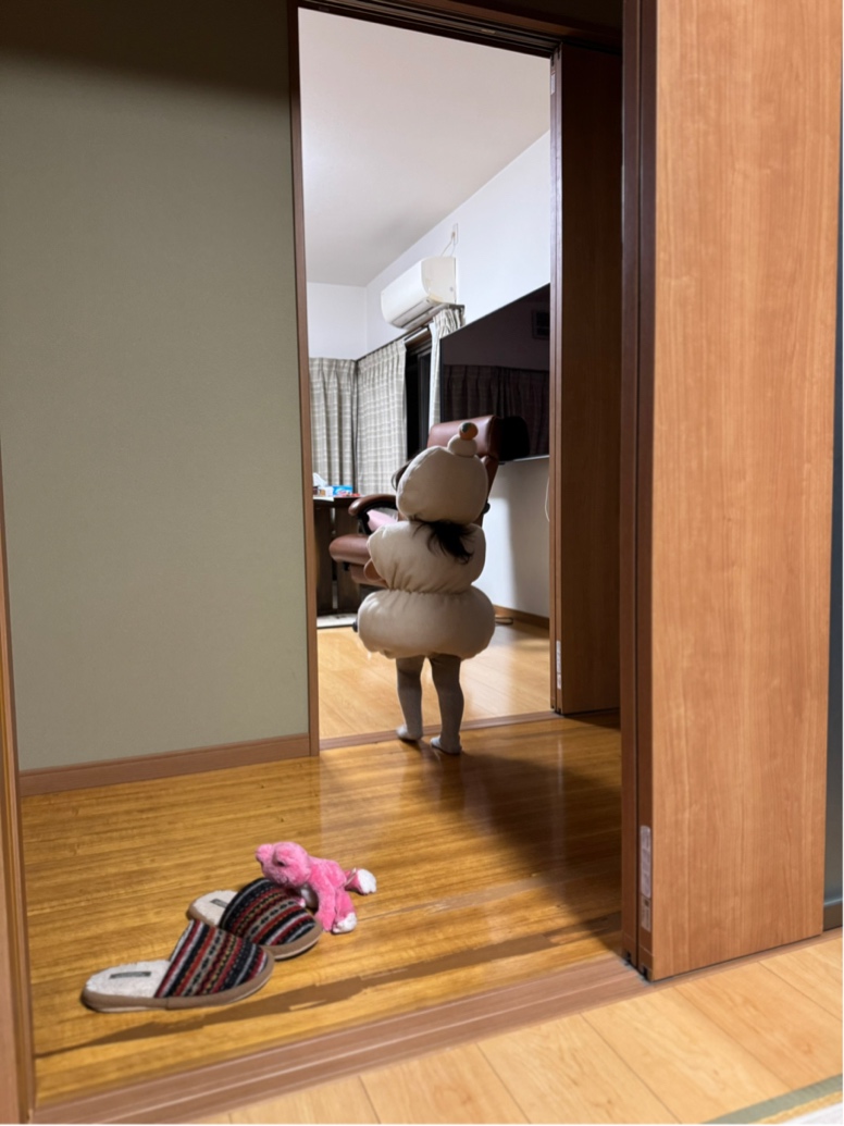 ̹