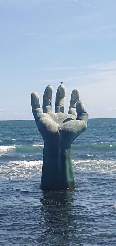 ̹