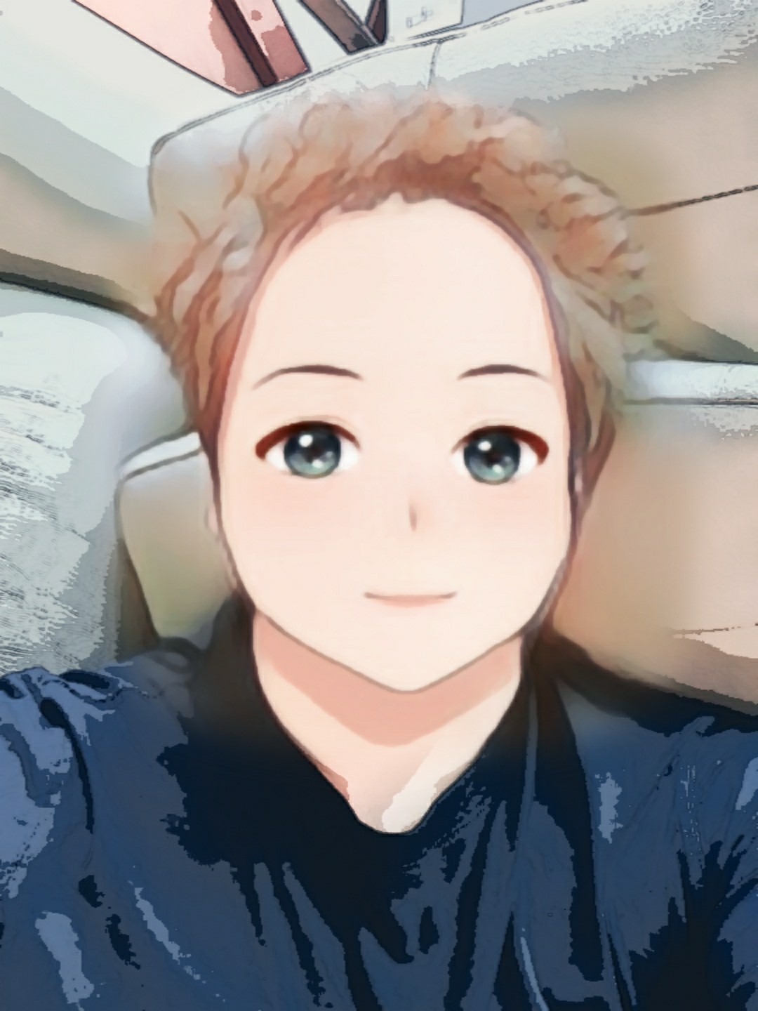 ̹