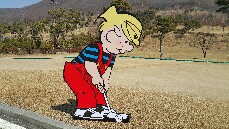 ̹